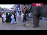 In Udupi: home of the rice plate